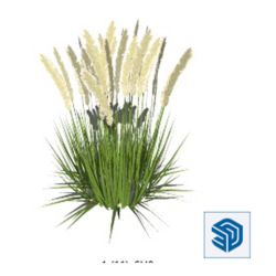 Download 3D Fountain Grass