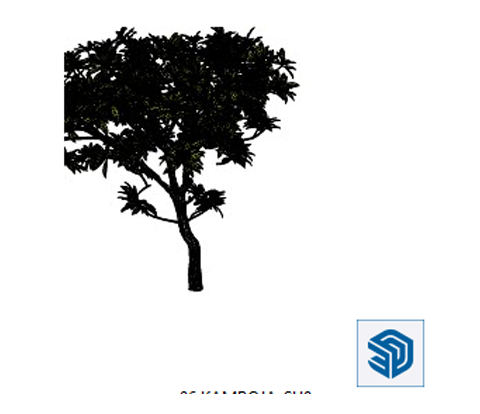 Download 3D Pohon Kamboja